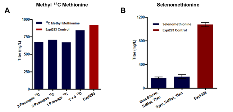 Methionine protein labeling results Bar charts of protein titer obtained from expression at different passages and growth conditions with methyl 13C methionine and selenomethionine and in the Expi293 expression system