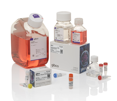 Expi293 Transient Protein Expression System Expi293 Transient Protein Expression System