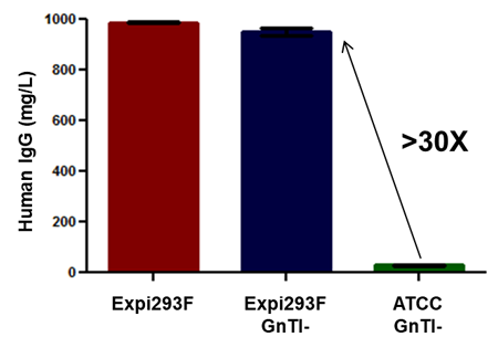 GnTI- expression results Bar chart showing amount of human IgG expressed in Expi293F GnTI(-) cells compared to competitor cells
