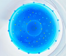 Protein Expression Essentials decorative