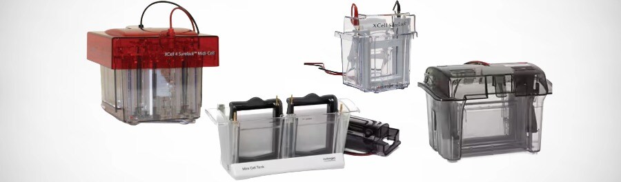 Protein Gel Electrophoresis Chamber Systems Product photo
