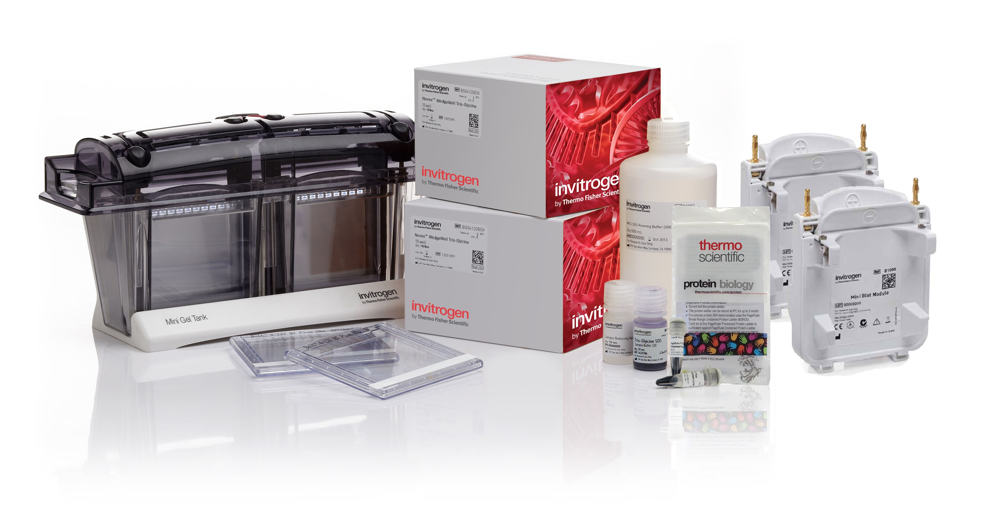 Protein Gel Welcome Packs with Mini Blot Modules Gel tank, transfer modules, box of precast gels, bottles of buffers and reagents for protein electrophoresis.