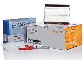 E-PAGE High-Throughput gel system E-PAGE High-Throughput gel system