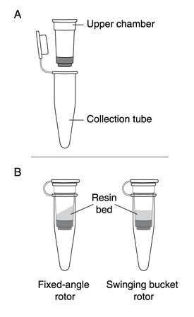 Spin filter Spin filter