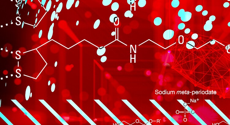 Protein modification schematic Chemical structures