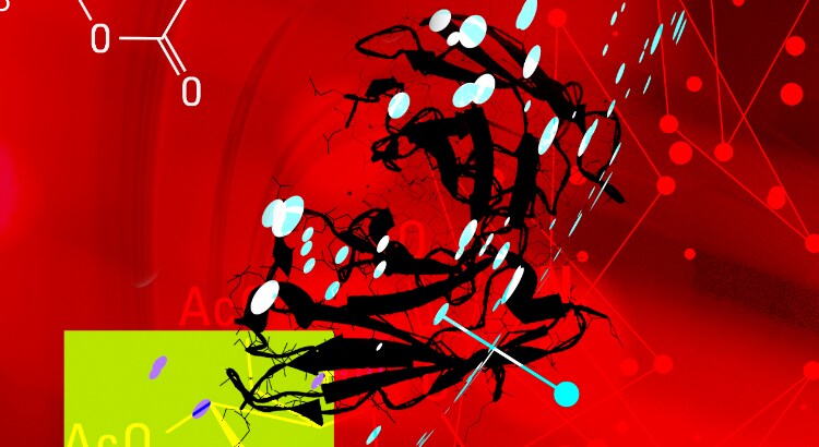 Protein labeling schematic 3D image of protein and chemical structure