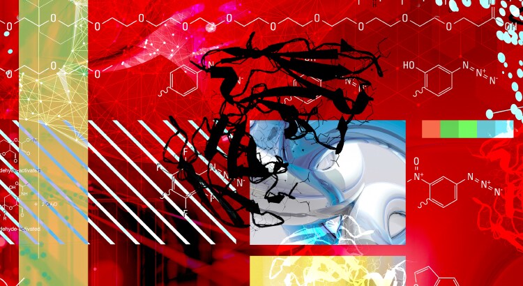 Protein crosslinking schematic 3D image of protein