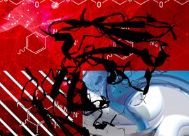 Protein Crosslinking Protein Crosslinking