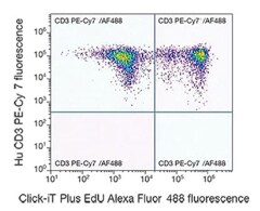 Immunophenotyping Bivariant plot with replicating CD3 positive cells in upper right and non-replicating CD3 positive cells in upper left