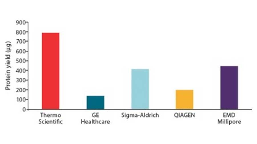 Protein yield comparison between Pierce Ni-NTA Magnetic Agarose and other supplier products Protein yield comparison for 6xHis-tagged BirA using Pierce Ni-NTA Magnetic Agarose and other suppliers' beads