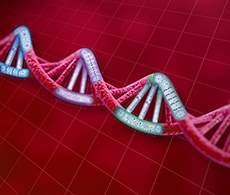 Functional Genomics Screening Workflow Functional Genomics Screening Workflow