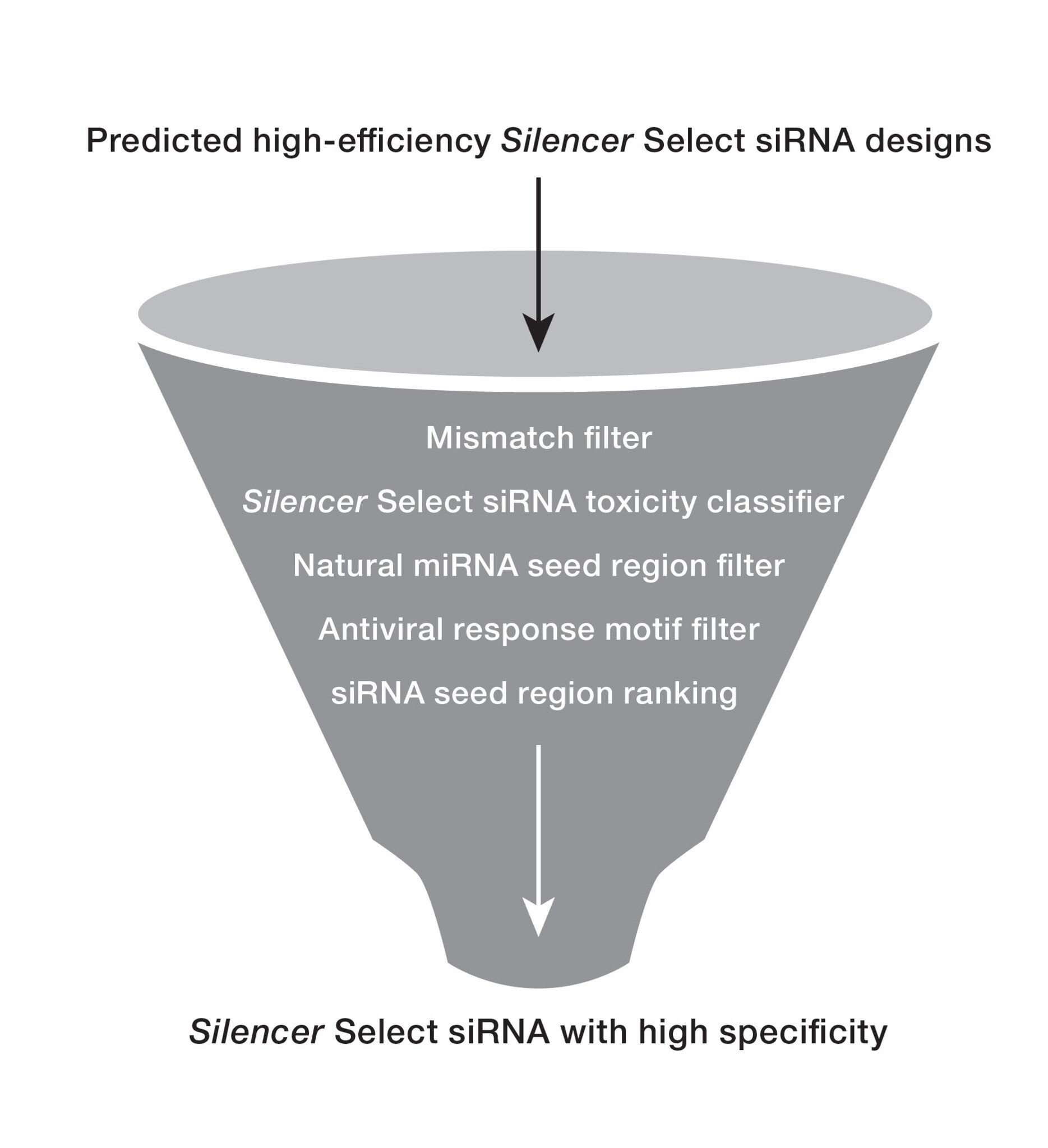 Five step bioinformatic filtering process for Silencer Select siRNA design Funnel diagram illustrating five-step bioinformatic filtering process for generating Silencer Select siRNAs