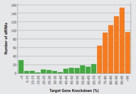 Effectiveness of Silencer predesigned siRNAs bar graph showing percent target gene knockdown for targets using Silencer predesigned siRNAs