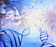 DNA Sequencing DNA Sequencing