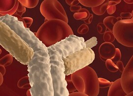 COL09955-IO-Web-Resizing-Image-Global-1170x200 COL09955-IO-Web-Resizing-Image-Global-1170x200