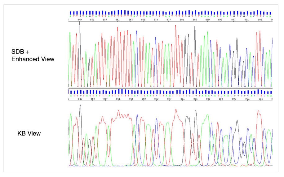 SDB Enhanced View electropherogram and KB view electropherogram SDB Enhanced View electropherogram and KB view electropherogram