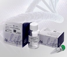 sho-sequencing-reagents-kits Sanger sequencing kits and reagents