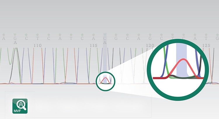 Capillary Electrophoresis instruments Capillary Electrophoresis instruments