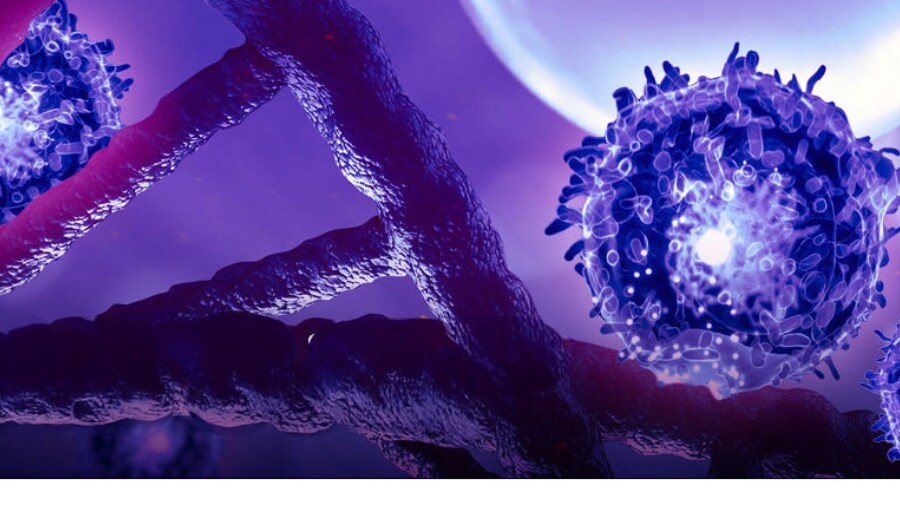 dynabeads_900x505 dynabeads_900x505