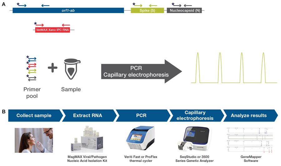 SARS-CoV-2_detection SARS-CoV-2_detection