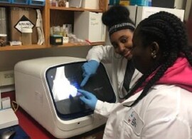 citizen-science-lab citizen-science-lab