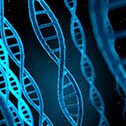 Next-Generation Sequencing Next-Generation Sequencing
