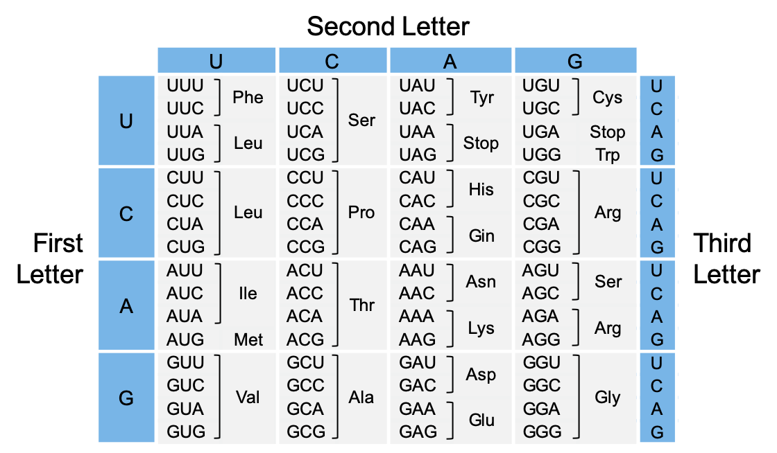 RNA Codon Table RNA Codon Table