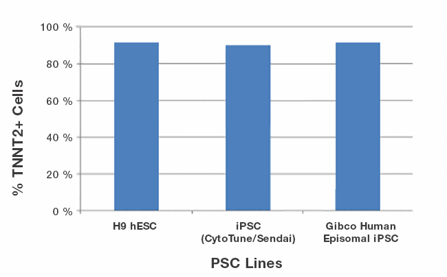 High cardiomyocyte differentiation efficiency across 3 PSC lines graph of 3 PSC lines differentiated into cardiomyocytes and % expressing TNNT2