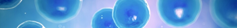 Stem Cell Research Learning Center decorative