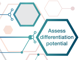 TaqMan hPSC Scorecard Assay decorative with text “assess differentiation potential”