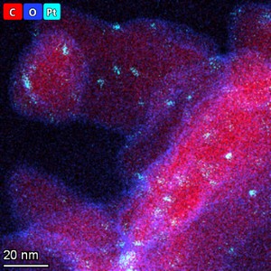 Platinum nanoparticles and cobalt nanoparticles, used to improve catalytic efficiency, imaged with high resolution EDS Platinum nanoparticles and cobalt nanoparticles, used to improve catalytic efficiency, imaged with high resolution EDS