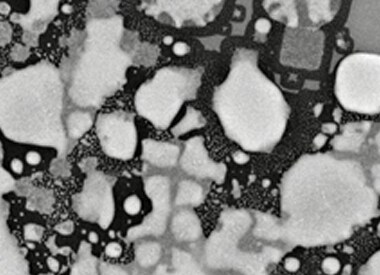 Gold on a silicon substrate heated with a SEM hot stage. Gold on a silicon substrate heated with a SEM hot stage.