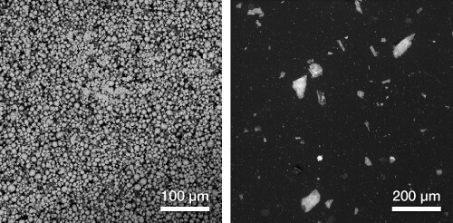 Comparison between applying a powder sample directly to carbon adhesive (left) and using the Nebula™ vacuum dispersion system (right). Comparison between applying a powder sample directly to carbon adhesive (left) and using the Nebula™ vacuum dispersion system (right).