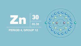 Zinc • Transition Metal Zinc • Transition Metal