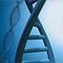PCR PCR