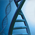 PCR PCR