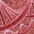 DNA & RNA Purification DNA & RNA Purification