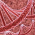 DNA & RNA Purification DNA & RNA Purification