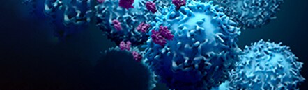 T cell activation Imaging showing proteins and T cell lymphocytes