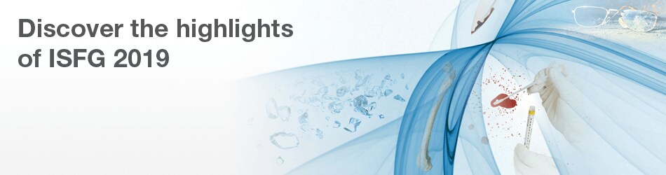 WE42940_2-header WE42940_2-header