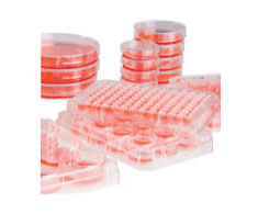 surface-coating surface-coating