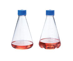 nalgene-flasks nalgene-flasks