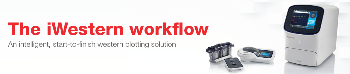 iWestern Workflow iWestern Workflow