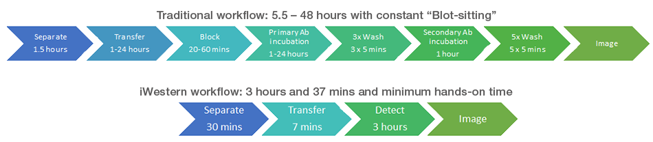 Save precious time using the iWestern workflow Save precious time using the iWestern workflow