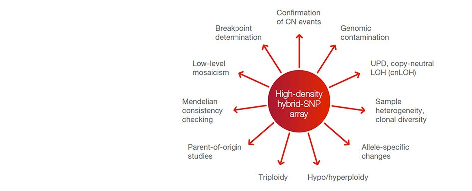 Additional information available with high-density SNP arrays Additional information available with high-density SNP arrays