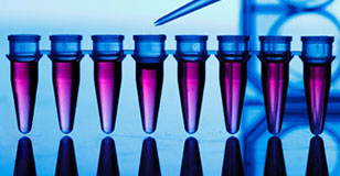 Application Courses Application Courses