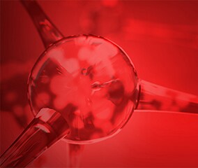 The Basics: RNase Control Decorative molecules with a red background