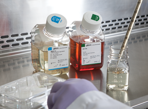 Gibco FBS and cell culture media Gibco FBS and Gibco Cell Culture Media in a cell culture hood with a cell culture plate, hand, and pipette