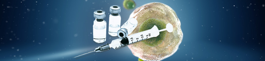 Guide to Fetal Bovine Serum in Vaccine Production Conceptual art of three vials and a syringe overlayed on a cell