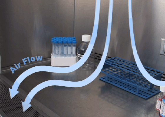 Air flow in a laminar flow hood the inside of a laminar flow hood with arrows demonstrating air flowing from the top to the front or top to the side of the laminar flow hood.